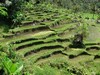 bali28.jpg